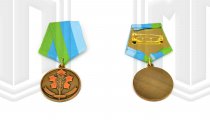 Наградная медаль 2016г